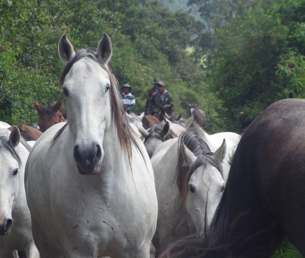 Ecuador